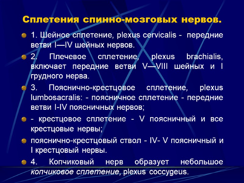 Сплетения спинно-мозговых нервов. 1. Шейное сплетение, plexus cervicalis -  передние ветви I—IV шейных